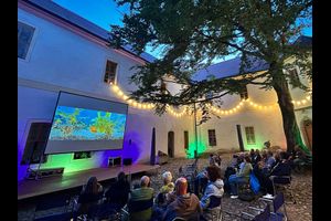 Kino im Schlosshof